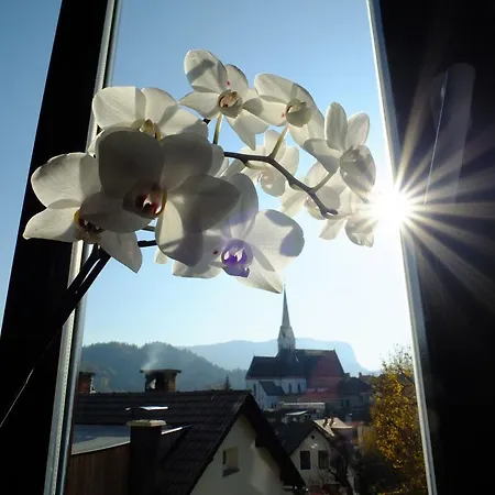 Апартаменты Mila Блед