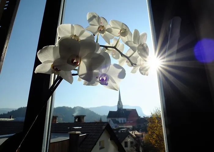 公寓 维拉米拉公寓 布莱德