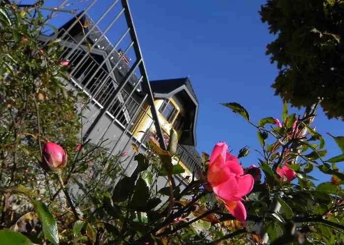 公寓 维拉米拉公寓 *