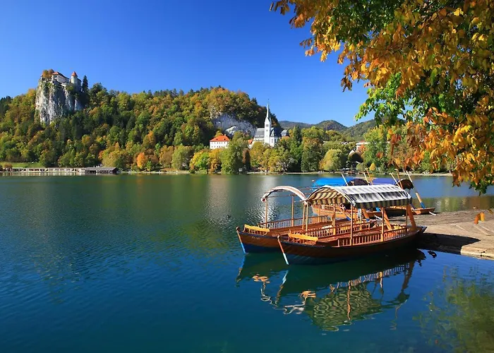 维拉米拉公寓 布莱德